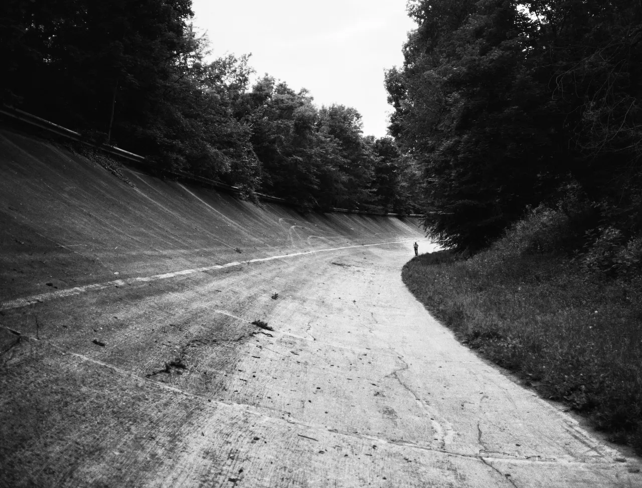 La curva sopraelevata dell'Autodromo di Monza, cemento crepato tra gli alberi, in bianco e nero